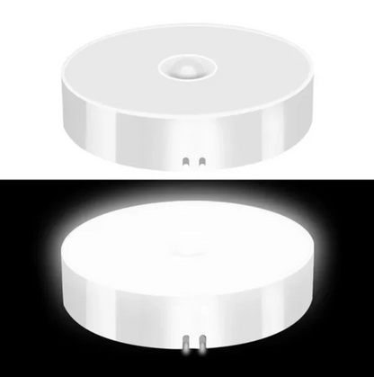 Motion Sensor Light