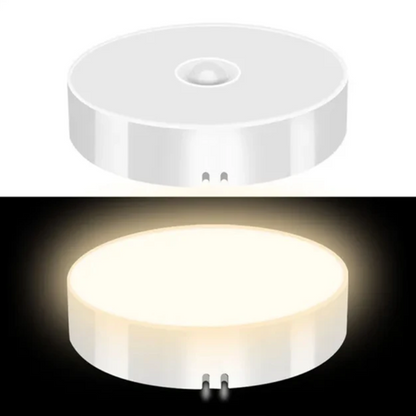 Motion Sensor Light