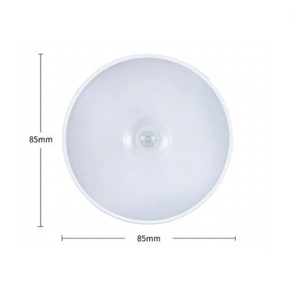 Motion Sensor Light