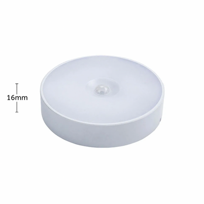 Motion Sensor Light